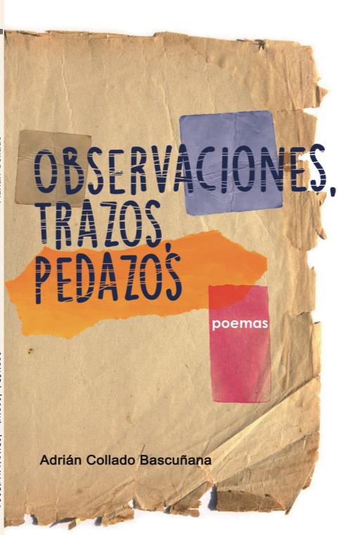 OBSERVACIONES TRAZOS Y PEDAZOS - Adrián Collado Bascuña
