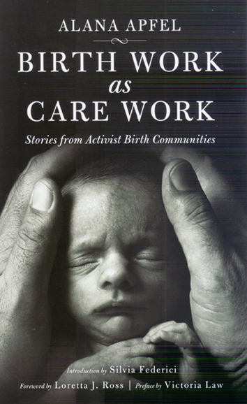 birth-work-as-care-work-9781629631516