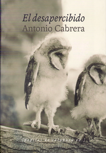El desapercibido - Antonio Cabrera