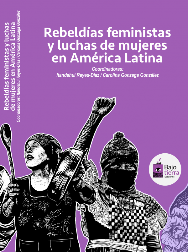 REBELDÍAS FEMINISTAS Y LUCHAS DE MUJERES EN AMÉRICA LATINA - VVAA