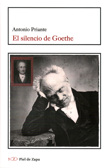 El silencio de Goethe