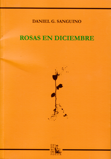 Rosas en diciembre