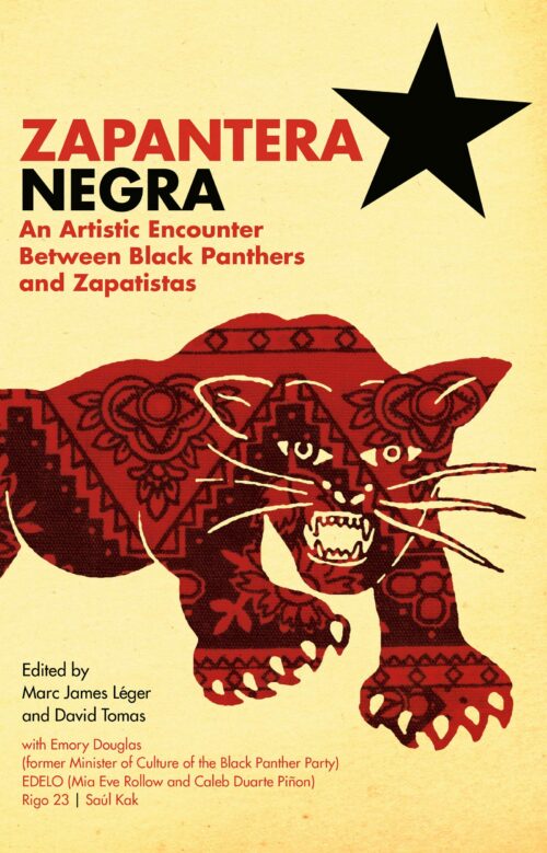 Zapantera Negra - Common Notions