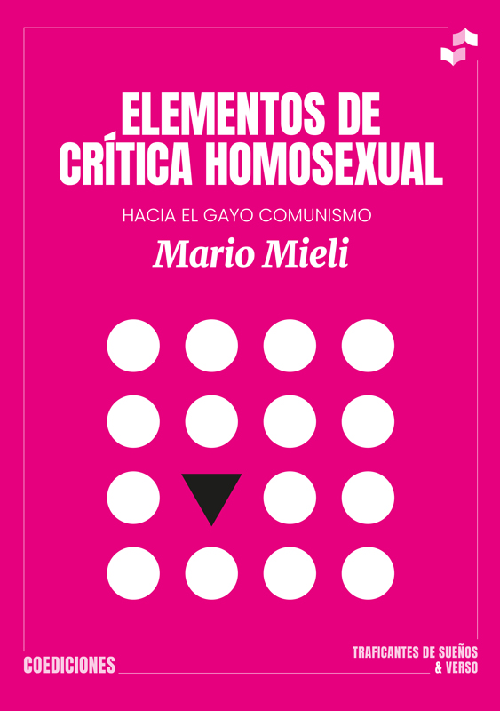 Elementos de crítica homosexual